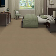 EMPHATIC-II-30-54255-TIMELESS-56110-room-image