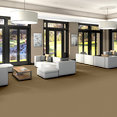 EMPHATIC-II-30-54255-CANYON-DUST-56144-room-image