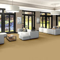 EMPHATIC-II-30-54255-SUN-VALLEY-56148-room-image