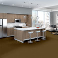 EMPHATIC-II-30-54255-BURNISHED-56220-room-image