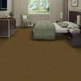 EMPHATIC-II-30-54255-BURNISHED-56220-room-image
