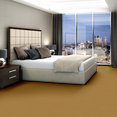 EMPHATIC-II-30-54255-SUNFLOWER-56222-room-image