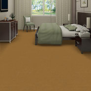 EMPHATIC-II-30-54255-GOLD-COAST-56240-room-image