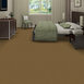 EMPHATIC-II-30-54255-CAJUN-56250-room-image