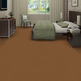 EMPHATIC-II-30-54255-CANYON-RIM-56291-room-image