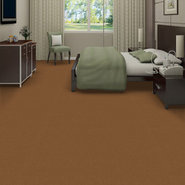 EMPHATIC-II-30-54255-CANYON-RIM-56291-room-image