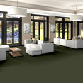 EMPHATIC-II-30-54255-THYME-56314-room-image