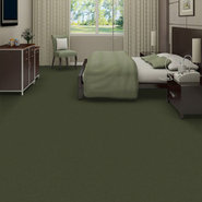 EMPHATIC-II-30-54255-THYME-56314-room-image