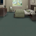 EMPHATIC-II-30-54255-SEA-FOAM-56315-room-image