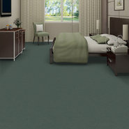 EMPHATIC-II-30-54255-SEA-FOAM-56315-room-image