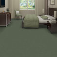 EMPHATIC-II-30-54255-DRIED-SAGE-56341-room-image