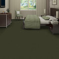 EMPHATIC-II-30-54255-ARTICHOKE-56350-room-image