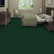 EMPHATIC-II-30-54255-MOUNTAIN-PINE-56366-room-image