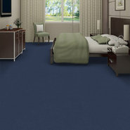 EMPHATIC-II-30-54255-DAHLIA-56424-room-image