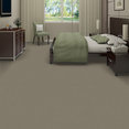 EMPHATIC-II-30-54255-GRAY-HARE-56510-room-image
