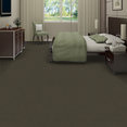 EMPHATIC-II-30-54255-SANDY-TAUPE-56595-room-image