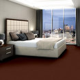 EMPHATIC-II-30-54255-ADOBE-56708-room-image