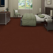 EMPHATIC-II-30-54255-ADOBE-56708-room-image