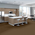 EMPHATIC-II-30-54255-KOALA-56741-room-image