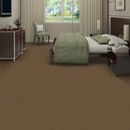 EMPHATIC-II-30-54255-KOALA-56741-room-image