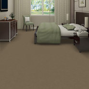 EMPHATIC-II-30-54255-SMOKEY-56742-room-image