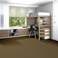 EMPHATIC-II-30-54255-OLIVE-TWIST-56755-room-image
