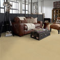 EMPHATIC-II-36-54256-SUN-VALLEY-56148-room-image