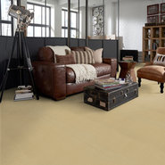 EMPHATIC-II-36-54256-SUN-VALLEY-56148-room-image