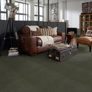 EMPHATIC-II-36-54256-THYME-56314-room-image