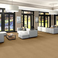 LEGEND-FALLS-54266-QUAIL-CREEK-66100-room-image