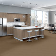CAPITAL-III-BL-54280-ELECTION-80200-room-image