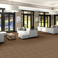 METRO-LIFE-54411-WALKING-TOUR-11702-room-image