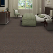 SPEAK-OUT-54445-LOUD-&-CLEAR-45500-room-image