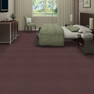 SPEAK-OUT-54445-ADMIT-45800-room-image