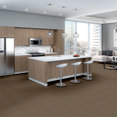 SPEAK-FREELY-54446-COME-CLEAN-46701-room-image