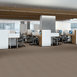 SPEAK-EASY-54450-SLOW-DOWN-50100-room-image