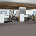 SPEAK-EASY-54450-TRANQUIL-50500-room-image