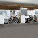 SPEAK-EASY-54450-TRANQUIL-50500-room-image