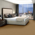 SPEAK-UP-54451-SOUTH-BEACH-51147-room-image