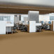 SPEAK-UP-54451-SOUTH-BEACH-51147-room-image
