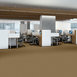 SPEAK-UP-54451-STRAW-MARKET-51156-room-image