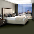SPEAK-UP-54451-ARTICHOKE-51350-room-image