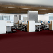 SPEAK-UP-54451-VIVID-BURGUNDY-51845-room-image