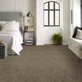 RUSH-DELIVERY-54452-IN-A-FLASH-52302-room-image
