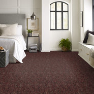 RUSH-DELIVERY-54452-LIKE-LIGHTNING-52801-room-image