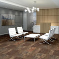 AD-LIB-54474-PHONE-CONVERSAT-00608-room-image
