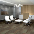 UNSCRIPTED-54475-STUMP-SPEECH-00504-room-image