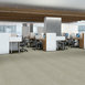 CAPITAL-III-TILE-54480-INFLUENTIAL-80302-room-image