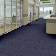 CAPITAL-III-TILE-54480-EXECUTOR-80401-room-image