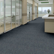 CAPITAL-III-TILE-54480-CITY-HALL-80402-room-image